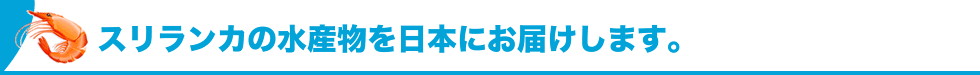 スリランカの水産物を日本にお届けします